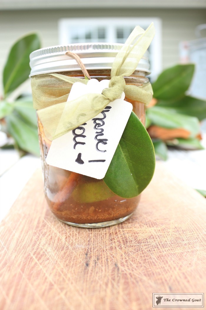 Festive DIY Christmas Simmer Pot in a Jar Party Tray Idea