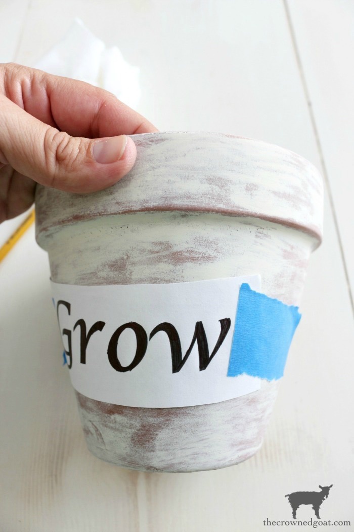 How to Whitewash Terracotta Pots with Chalk Paint