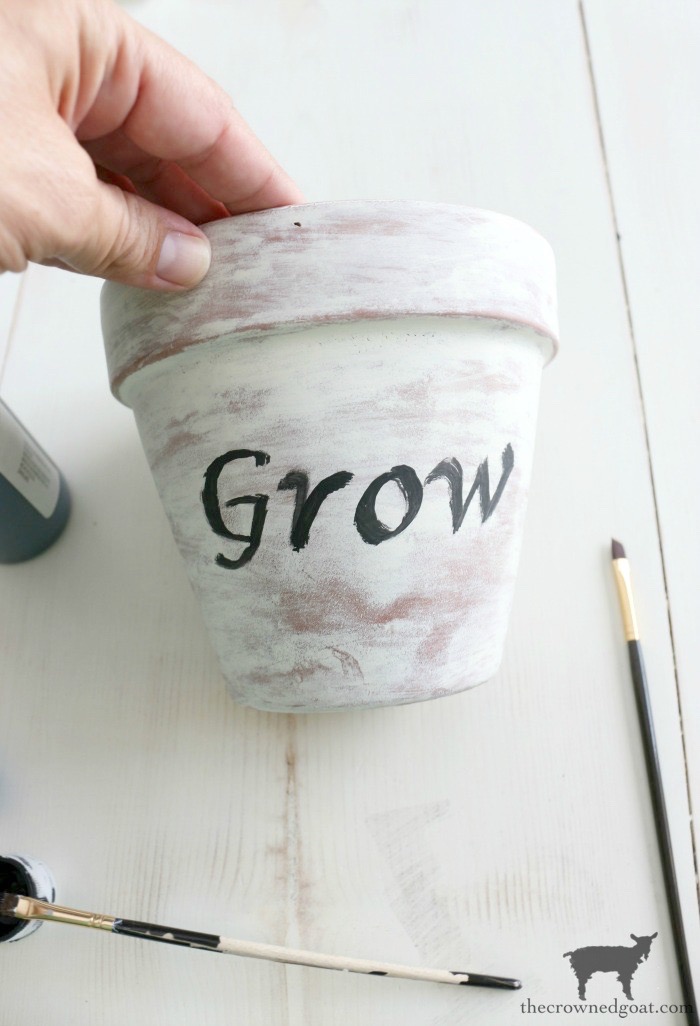 How to Whitewash Terracotta Pots with Chalk Paint
