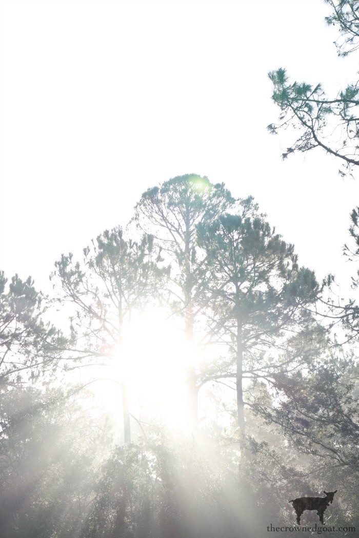17 Simple Ways to Ease into the New Year