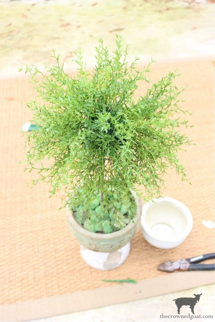 How to Make a Simple Herb Topiary