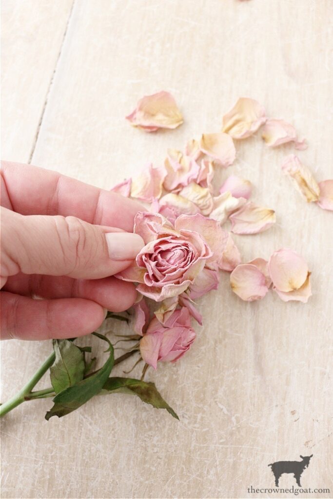 Rose Petal Bath Soak and Salt Scrub